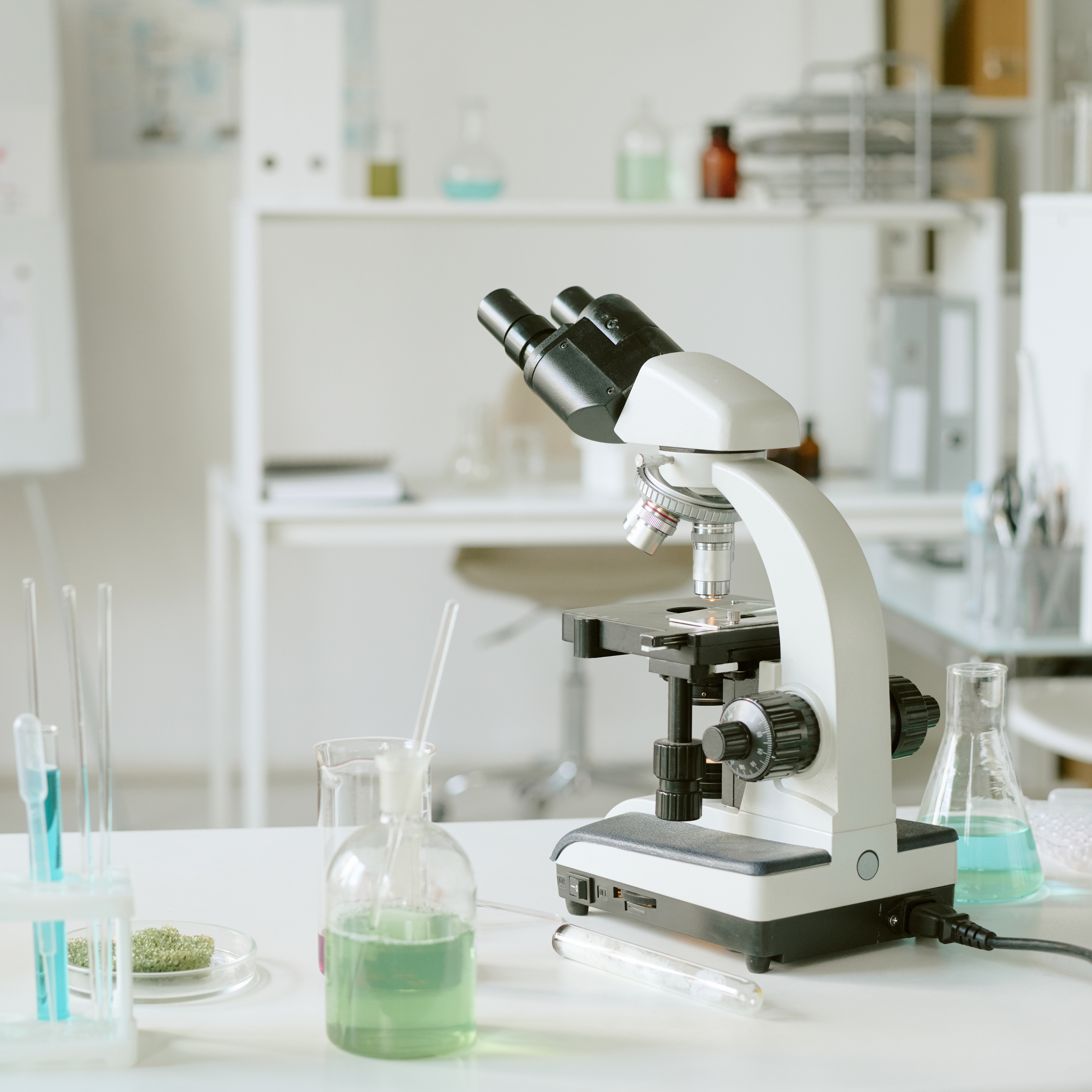 BIOTECNOLOGIA VEGETAL